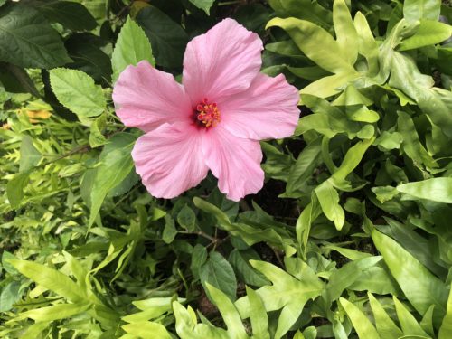 28EBD1CA-5C72-459C-8D40-0533C62F0D72